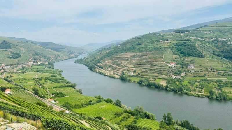 Douro Valley Journey: 4 Cities and Wine Estate All-Included - Potential Drawbacks and Considerations
