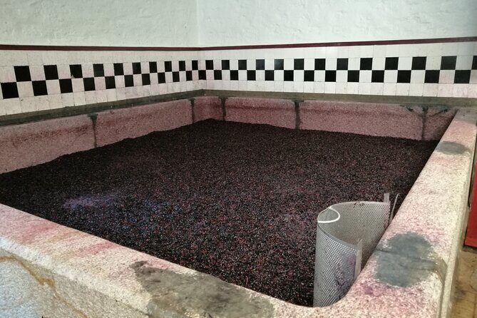 Douro valley Majestic - Final Thoughts