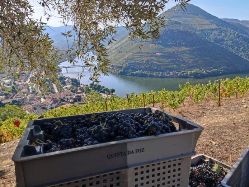 Douro Valley: (Pinhão) Quinta da Foz - Tour&Tasting 5 WINES - Frequently Asked Questions