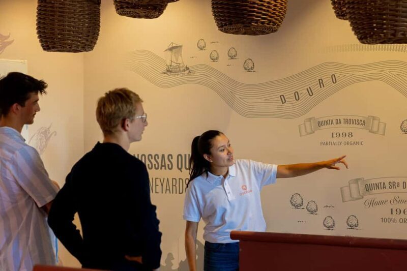 Douro Valley: Port & Cheese Tasting with a Local Wine Guide - Key Points