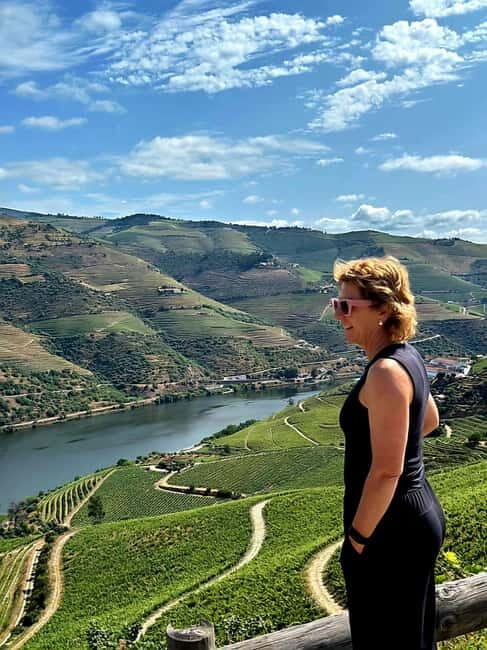 DOURO VALLEY: Premium Wine Tour, Winery Lunch & Private Boat - Who Should Consider This Tour?