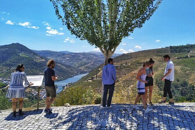 Douro Valley Prime Tour: Wine Tastings, Boat and Lunch from Porto - What Makes This Tour Stand Out?
