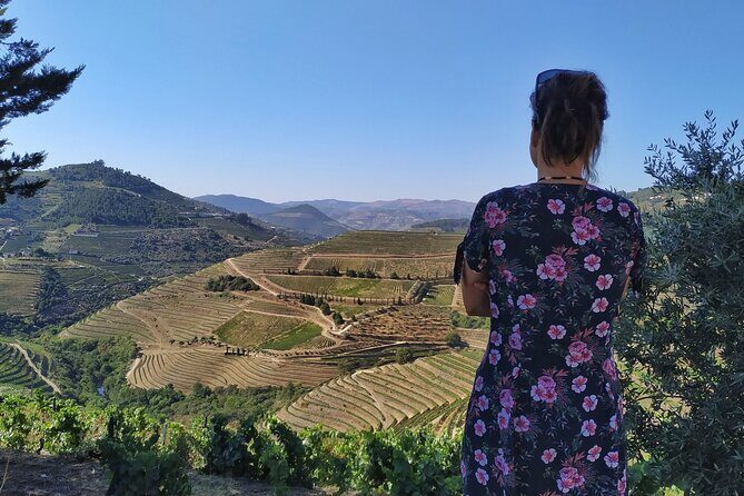 Douro Valley Prime Tour: Wine Tastings, Boat and Lunch from Porto - The Sum Up: Who Will Love This Tour?