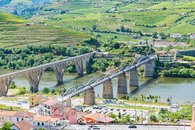 Douro Valley private day tour from Porto - Lunch: A Traditional Portuguese Meal