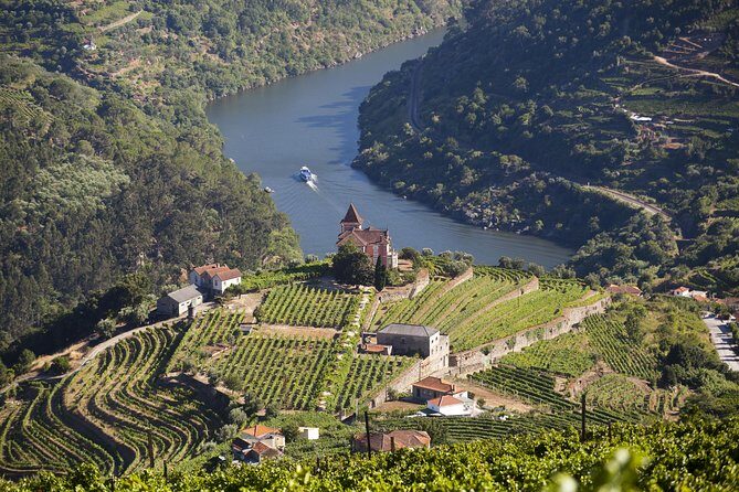 Douro Valley Private Full-Day Tour from Porto - A Deep Dive into the Douro Valley Private Full-Day Experience