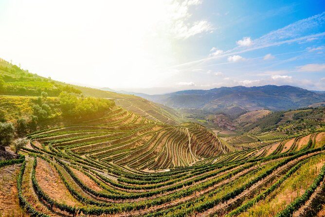 Douro Valley Private Full-Day Tour from Porto - Final Thoughts
