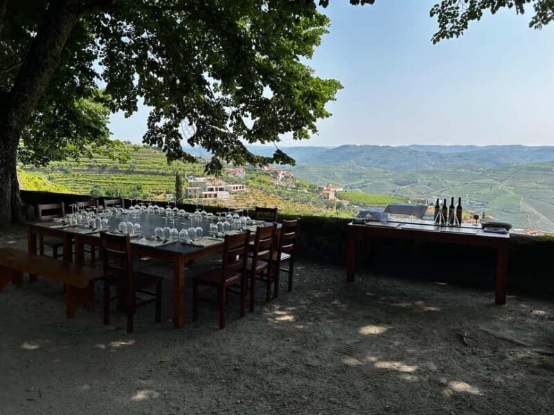 Douro Valley: Private Lunch with Wine & Olive Oil Tasting - Final Thoughts