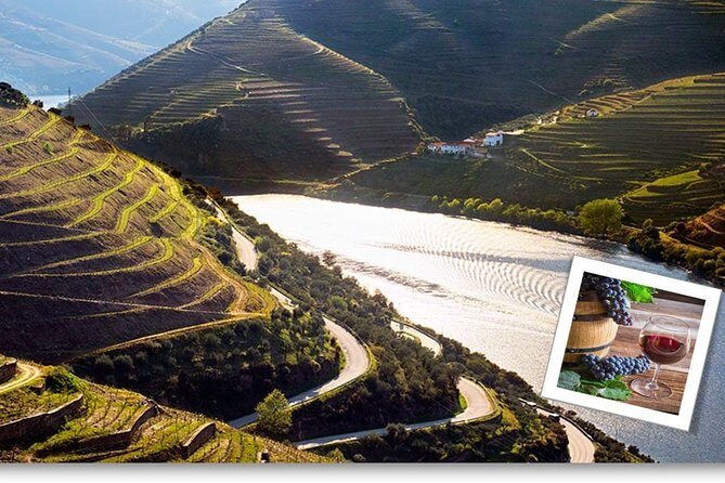 Douro Valley Private Premium Tour with Wine Tasting (1 to 4 people) - Authentic Experiences as Reported by Travelers