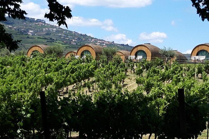 Douro Valley Private Premium Tour with Wine Tasting (1 to 4 people) - The Sum Up