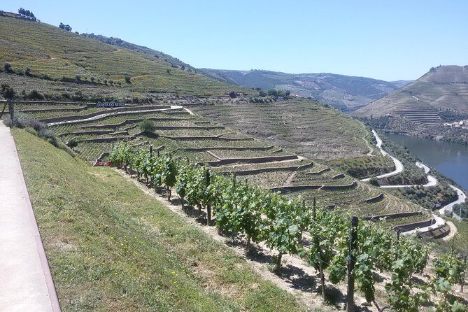 Douro Valley Private Premium Tour with Wine Tasting (1 to 4 people) - Frequently Asked Questions