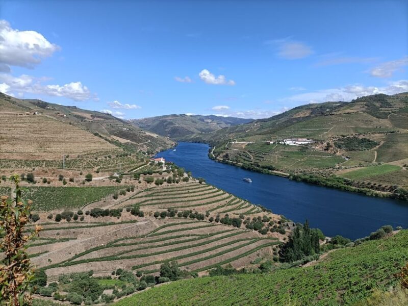 Douro Valley: Private Sommelier Tour with 3 Wineries & Lunch - An In-Depth Look at the Douro Valley Private Tour
