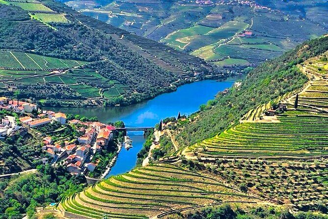 Douro Valley Private Tour: 2 Farms, Lunch & Boat Trip - The Experience in Action
