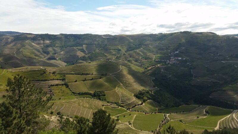 Douro Valley Private Tour - Key Points