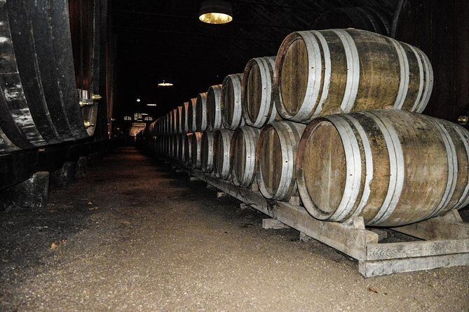 Douro Valley Private Tour from Oporto - In The Sum Up