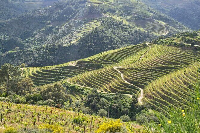 Douro Valley private tour full day - Practical Details You Should Know