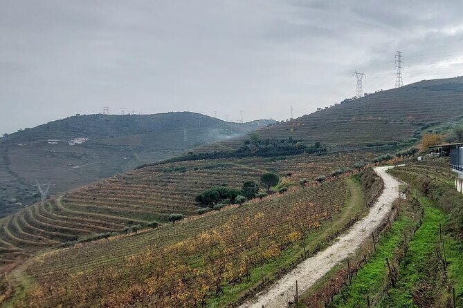 Douro Valley private tour full day - Authentic Insights from Travelers