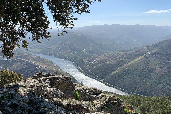 Douro Valley private tour includes wine tasting and boat trip - The Journey Through the Douro Valley: A Detailed Breakdown