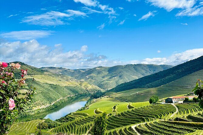 Douro Valley private tour includes wine tasting and boat trip - Who Should Consider This Tour?