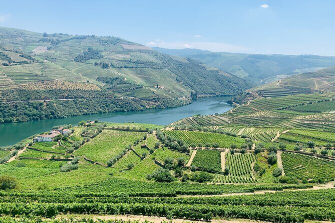 Douro Valley private tour includes wine tasting and boat trip - Frequently Asked Questions
