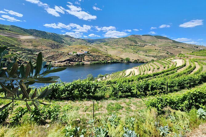 Douro Valley Private Tour (winery + boat + viewpoint) - The Itinerary in Detail