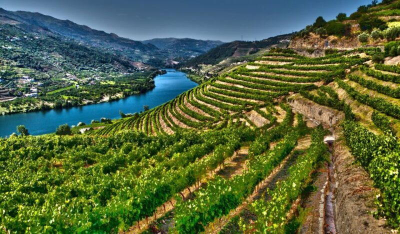 Douro Valley Private Tour with 2 wine tastings - Why Choose the Douro Valley Private Tour?