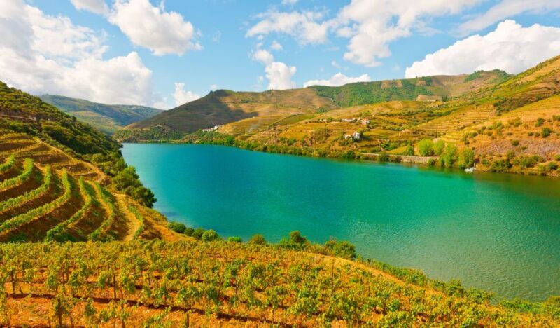 Douro Valley Private Tour with 2 wine tastings - What Makes This Tour Stand Out?