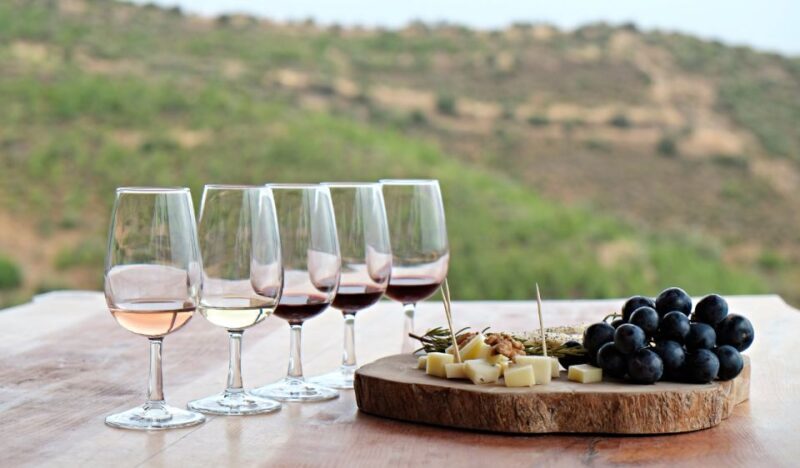 Douro Valley Private Tour with 2 wine tastings - Limitations and Considerations