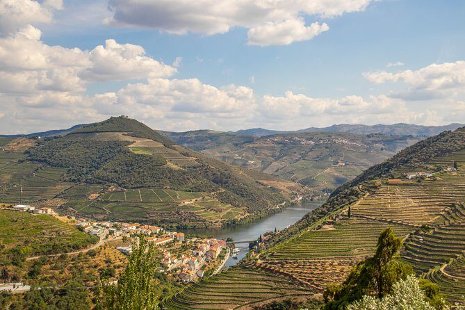 Douro Valley: private tour with lunch and wine estate all inclusive - Final Thoughts: Is This Tour Right for You?