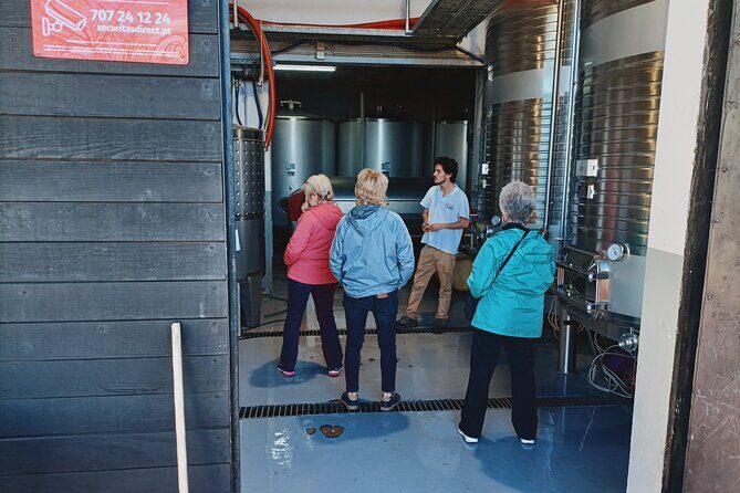 Douro Valley Private Tour with Sommelier - Key Points