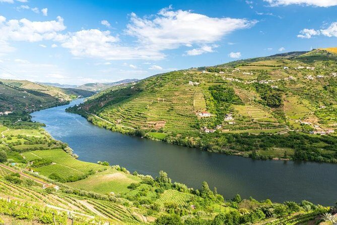 Douro Valley private tour with wine tasting and boat tour - An In-Depth Look at the Douro Valley Private Tour
