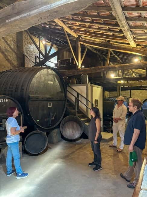 Douro Valley: Private Wine & Food Tour Away from Crowds - Ending with Organic Vinho Verde: A Sustainable Perspective