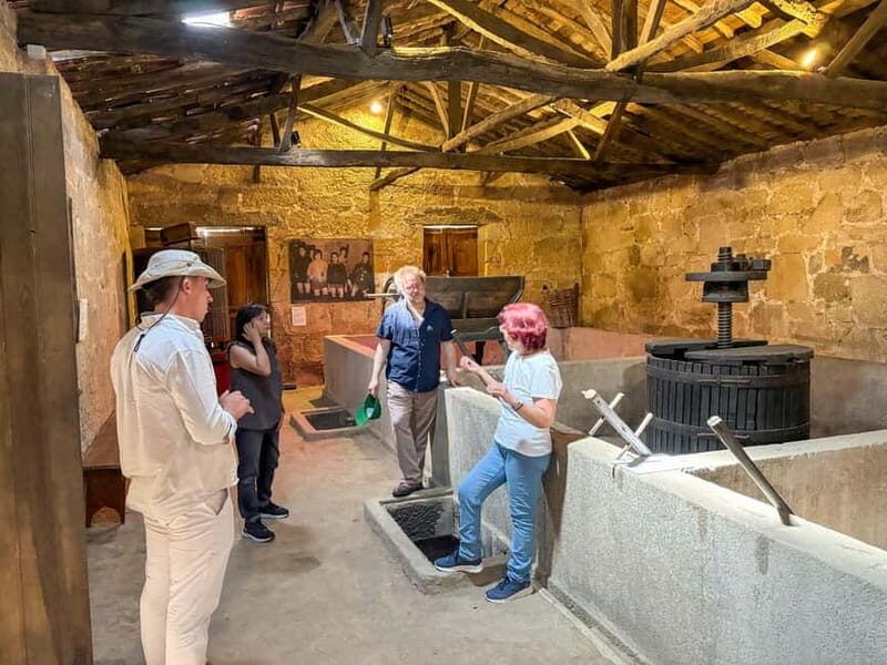 Douro Valley: Private Wine & Food Tour Away from Crowds - Flexible, Unhurried, and Personal