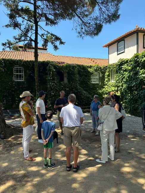 Douro Valley: Private Wine & Food Tour Away from Crowds - Practical Details and Value