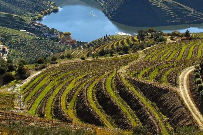 Douro Valley Private Wine Tour from Lisbon - Introduction: A Closer Look at the Douro Valley Private Wine Tour from Lisbon