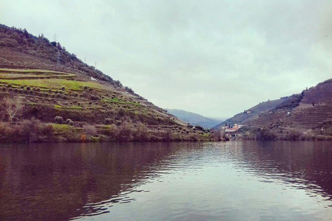 Douro Valley Private Wine Tour from Lisbon - Key Points