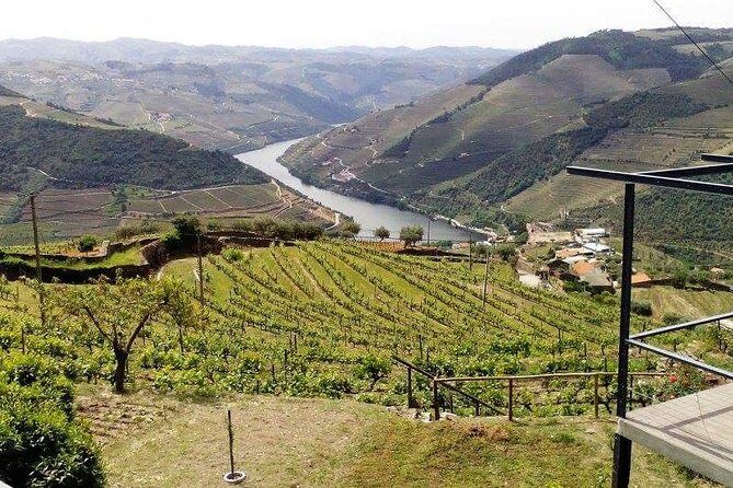 Douro Valley Private Wine Tour from Lisbon - What the Reviews Reveal