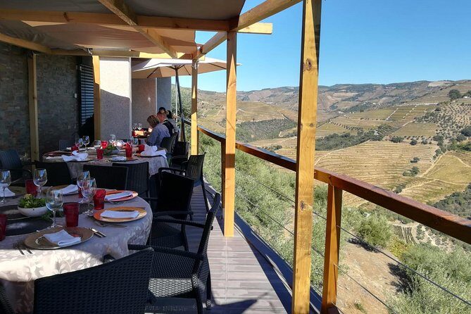 Douro Valley Private Wine Tour from Lisbon - The Value and Who It’s Best For