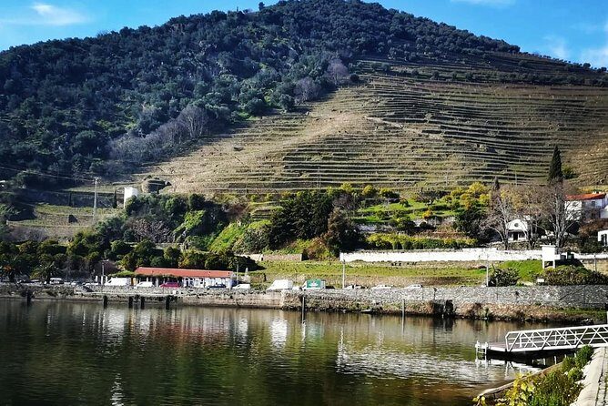 Douro Valley Private Wine Tour from Lisbon - The Sum Up: Is This Tour Right for You?
