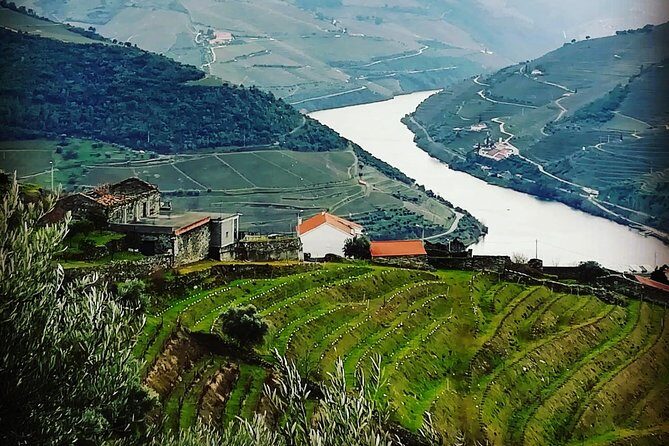 Douro Valley Private Wine Tour from Lisbon - FAQ