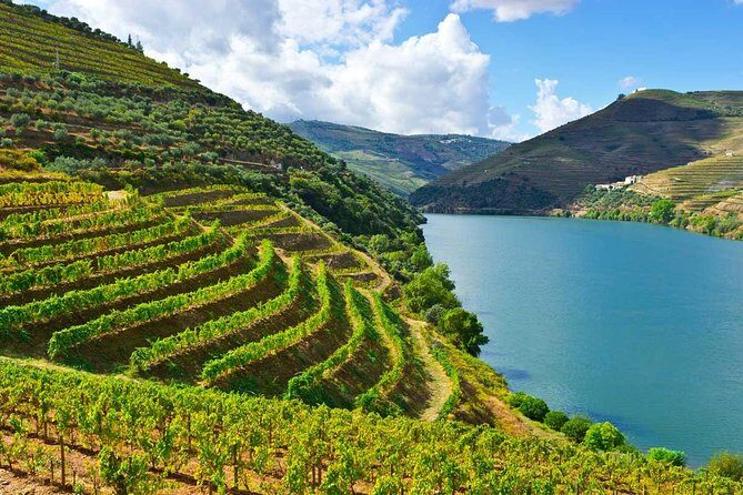 Douro Valley Private Wine Tour From Porto - An In-Depth Look at the Douro Valley Private Wine Tour From Porto