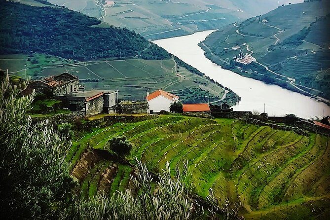 Douro Valley Private Wine Tour From Porto - Key Points