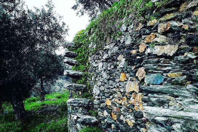 Douro Valley Private Wine Tour From Porto - What to Keep in Mind