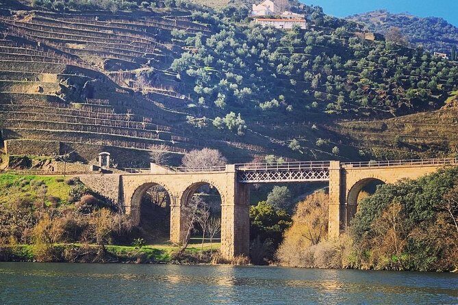 Douro Valley Private Wine Tour From Porto - Who Would Love This Tour?
