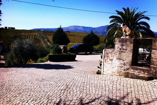 Douro Valley Private Wine Tour From Porto - Wrapping Up