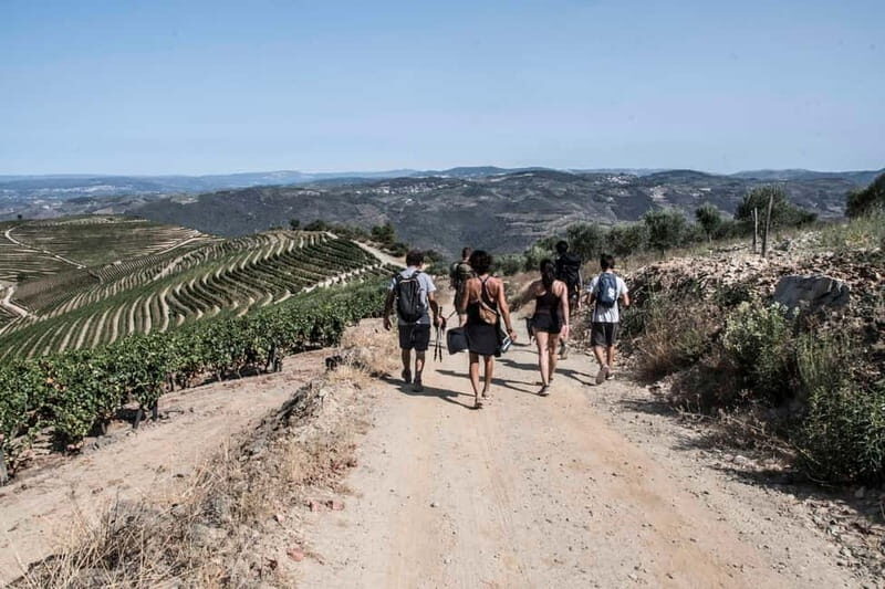 Douro Valley: Provesende and São Cristóvão Guided Hike - The Experience Breakdown: What to Expect on the Hike