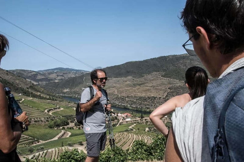Douro Valley: Provesende and São Cristóvão Guided Hike - Why This Tour Is a Great Choice