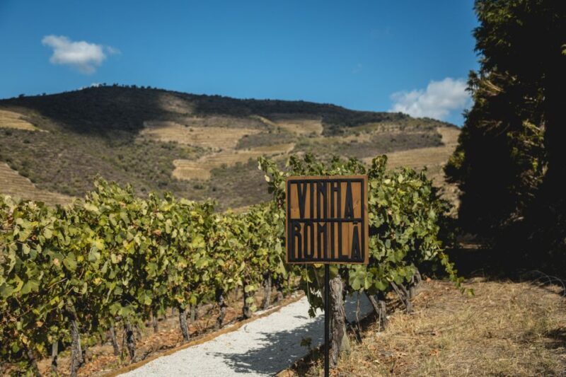 Douro Valley: Quinta de S. Luiz Winery Tour and Tasting - Who Should Consider This Tour?