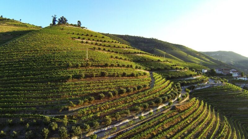 Douro Valley: Quinta de S. Luiz Winery Tour and Tasting - FAQs