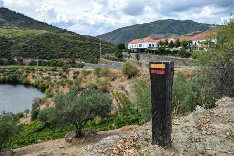 Douro Valley: Quinta do Tedo Wine Experience with Picnic - An Overview of the Douro Valley Experience