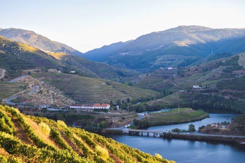Douro Valley: Quinta do Tedo Wine Experience with Picnic - The Itinerary: What to Expect